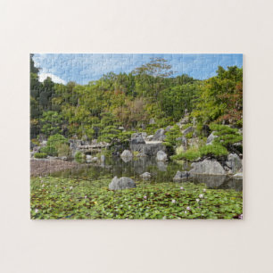 Japanische Wasserlilie Garden   Natroneteichs-Foto