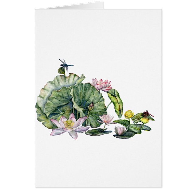Japanische Wasserlilien und Lotus-Blume (Vorne)