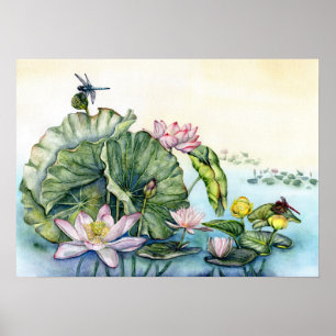 Japanische Wasserlilien und Lotus-Blume Poster