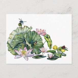 Japanische Wasserlilien und Lotus-Blume Postkarte