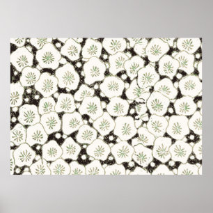 Japanische Weiße Blume Antiquitätendesign Poster