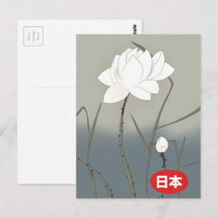 Japanische Weiße Rose Postkarte