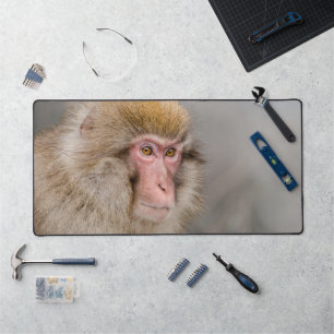 Japanische Wildtiere: Brown Snow Monkey Schreibtischunterlage