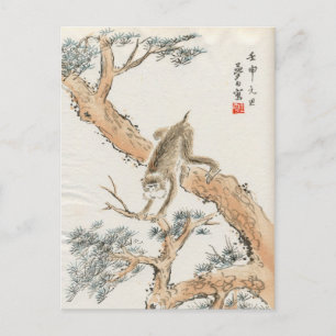 Japanischer Affe Postkarte