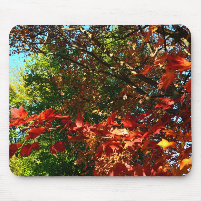 Japanischer Ahorn im Herbst Mousepad (Vorne)
