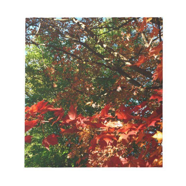 Japanischer Ahorn im Herbst Notizblock (Vorderseite)
