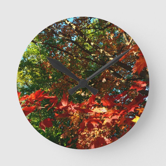 Japanischer Ahorn im Herbst Runde Wanduhr (Vorderseite)