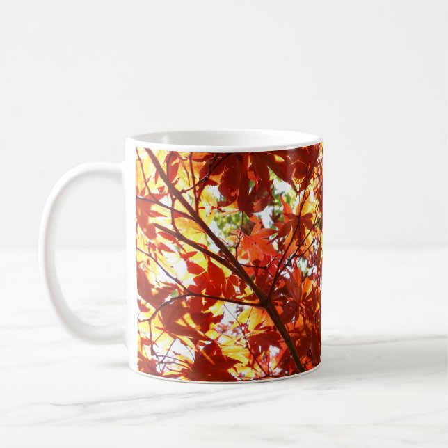 Japanischer Ahorn in der Sonne Kaffeetasse (Links)