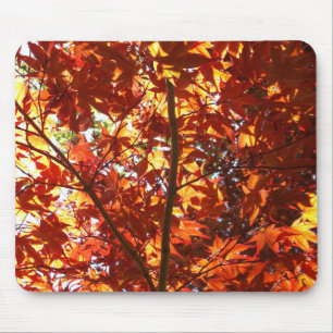 Japanischer Ahorn in der Sonne Mousepad