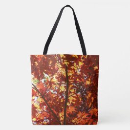 Japanischer Ahorn in der Sonne Tasche