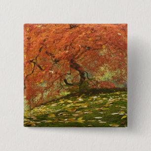 Japanischer Ahorn in Herbstfarbe Button