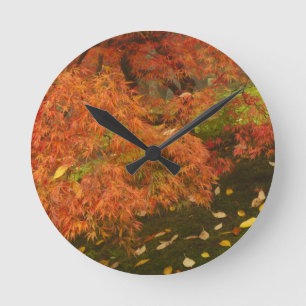 Japanischer Ahorn in Herbstfarbe Runde Wanduhr