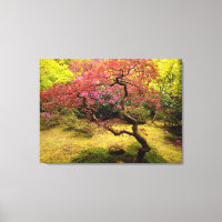 Japanischer Ahornbaum Canvas Print
