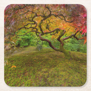 Japanischer Ahornbaum in Herbstfarben Rechteckiger Pappuntersetzer