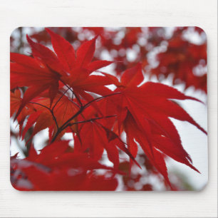 Japanischer Ahornbaum Mousepad