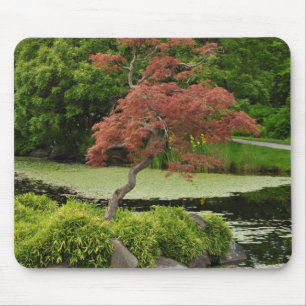 Japanischer Ahornbaum und Gartenteich Mousepad