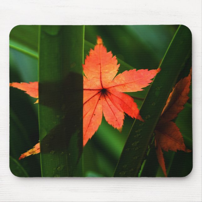 Japanischer Ahornleaf Mousepad (Vorne)