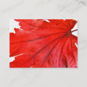Japanischer Ahornleaf Visitenkarte