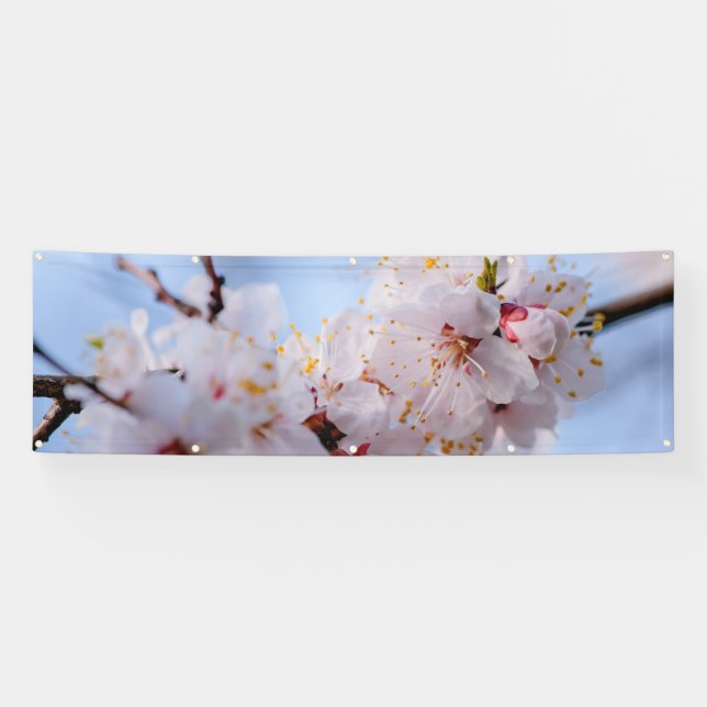 Japanischer Apricot Blossom Banner (Horizontal)