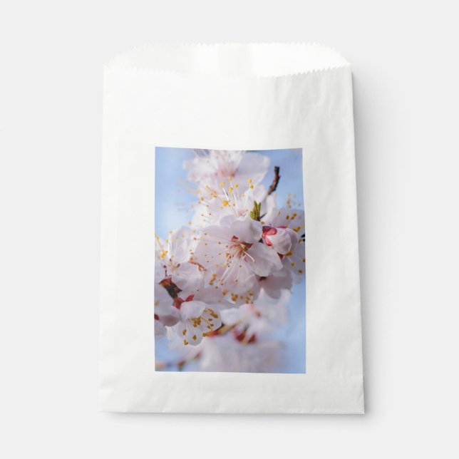 Japanischer Apricot Blossom Geschenktütchen (Vorderseite)