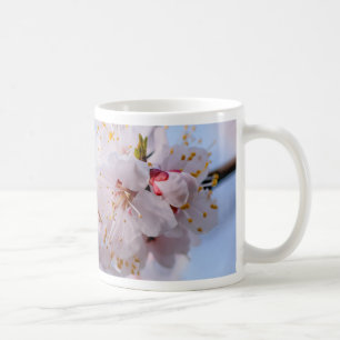 Japanischer Apricot Blossom Kaffeetasse