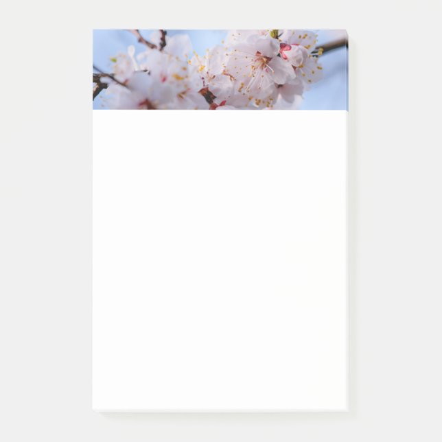 Japanischer Apricot Blossom Post-it Klebezettel (Vorderseite)
