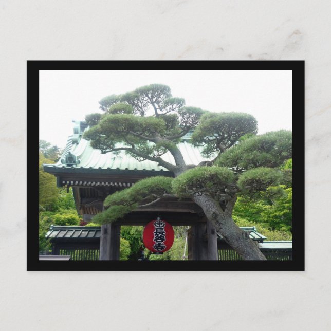 japanischer Baum Postkarte (Vorderseite)