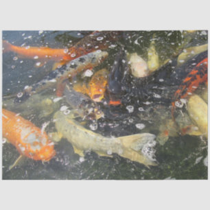Japanischer Carp Koi Fisch schwimmen Seidenpapier