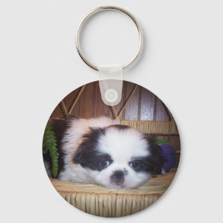 Japanischer Chin Puppy Schlüsselanhänger