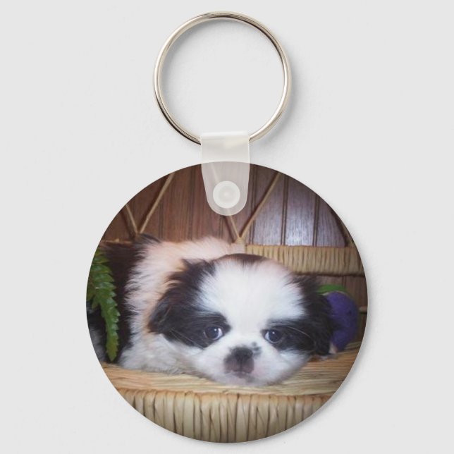 Japanischer Chin Puppy Schlüsselanhänger (Vorderseite)