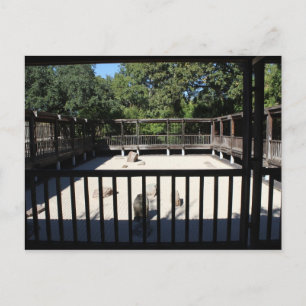 Japanischer Garten in Fort Worth Texas # 54 Postkarte