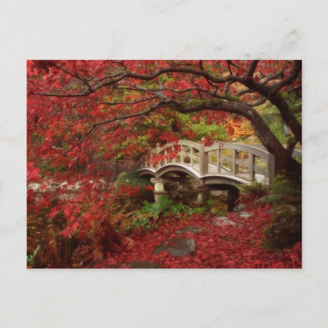 Japanischer Garten Postkarte (Vorderseite)