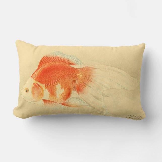 Japanischer Goldfisch. Das Ryukin. Lendenkissen (Vorderseite)