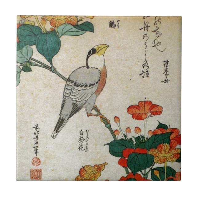 Japanischer Grosbeak und Mirabilis Jalapa Fliese (Vorderseite)
