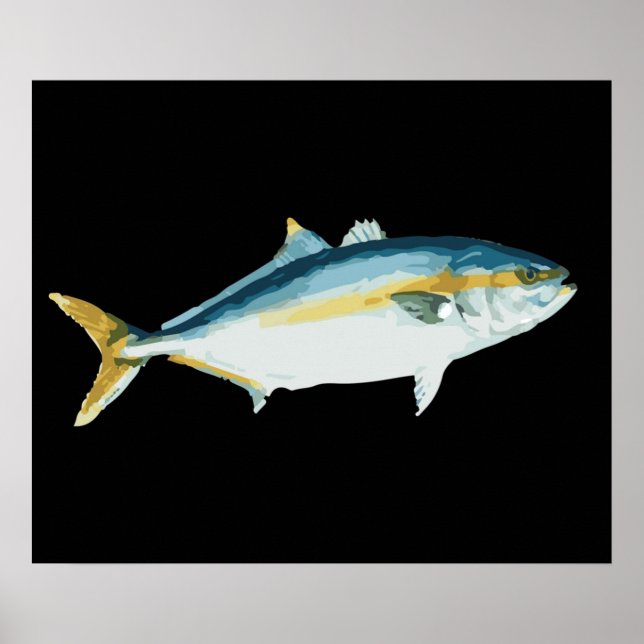 Japanischer Hamachi Yellowtail Amberjack Poster (Vorne)