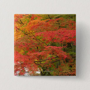 Japanischer Herbstlaub Button