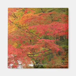Japanischer Herbstlaub Magnet