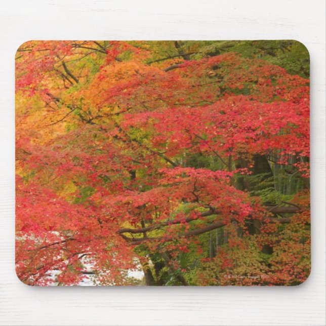 Japanischer Herbstlaub Mousepad (Vorne)