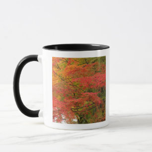 Japanischer Herbstlaub Tasse