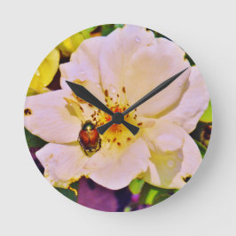 Japanischer Käfer auf weißer Rose Runde Wanduhr