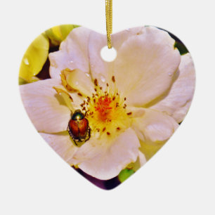 Japanischer Käfer auf White Rose Keramikornament