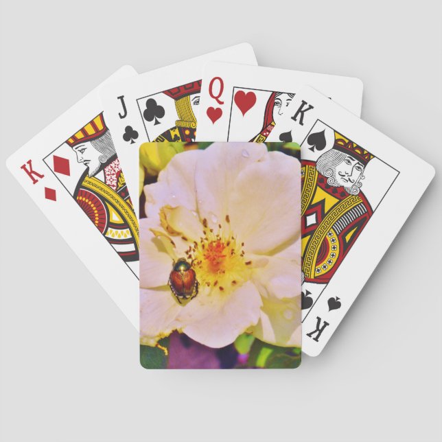 Japanischer Käfer auf White Rose Spielkarten (Rückseite)
