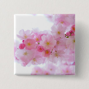 Japanischer Kirschbaum Blossom Button