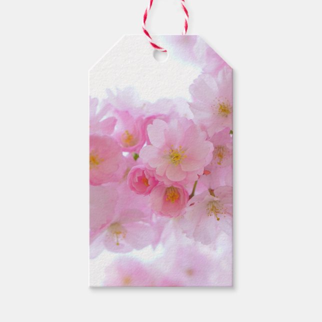 Japanischer Kirschbaum Blossom Geschenkanhänger (Vorderseite)