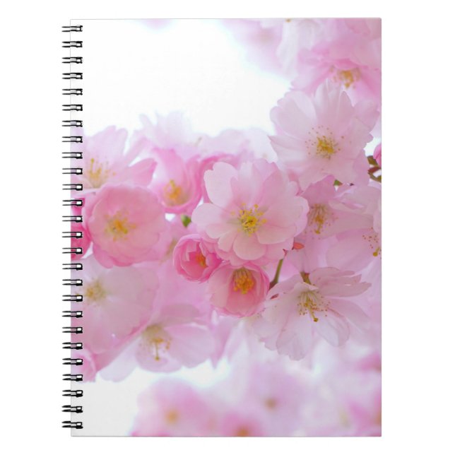 Japanischer Kirschbaum Blossom Notizblock (Vorderseite)