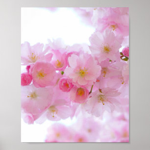 Japanischer Kirschbaum Blossom Poster