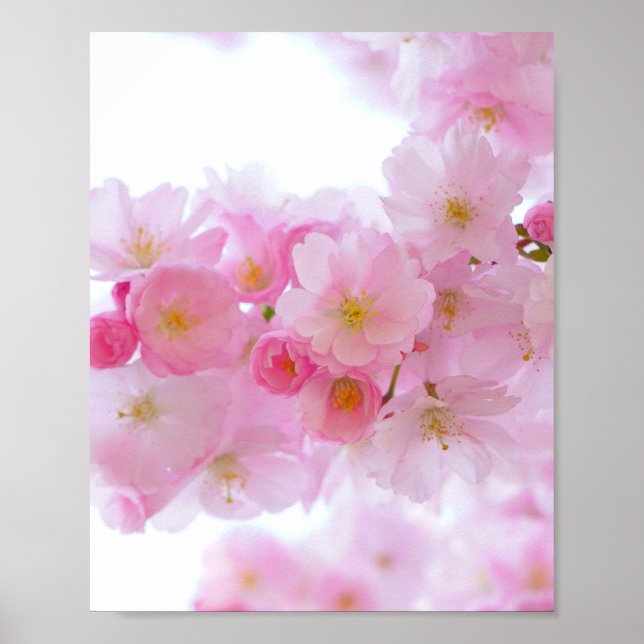 Japanischer Kirschbaum Blossom Poster (Vorne)