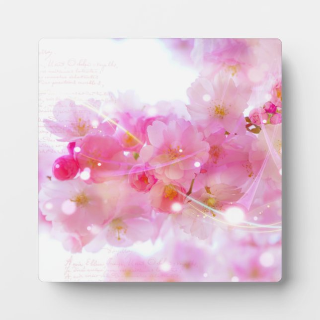 Japanischer Kirschbaum mit pastellrosa Blüten Fotoplatte (Vorderseite)