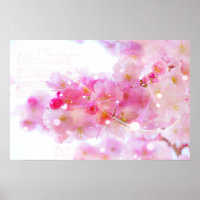 Japanischer Kirschbaum mit pastellrosa Blüten