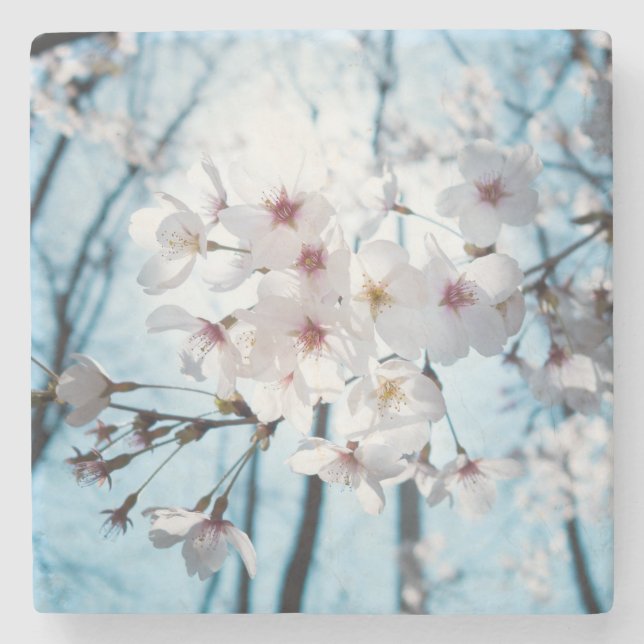 Japanischer Kirschblüten-Zen Steinuntersetzer (Vorderseite)